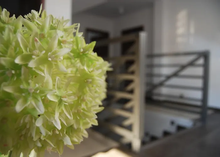 Veell - Tylko 4 Minuty Od Pieknej Szerokiej Plazy Pobierowo