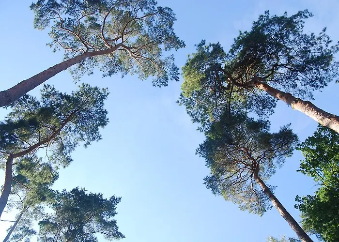 Apartman Veell - Tylko 4 Minuty Od Pieknej Szerokiej Plazy Pobierowo